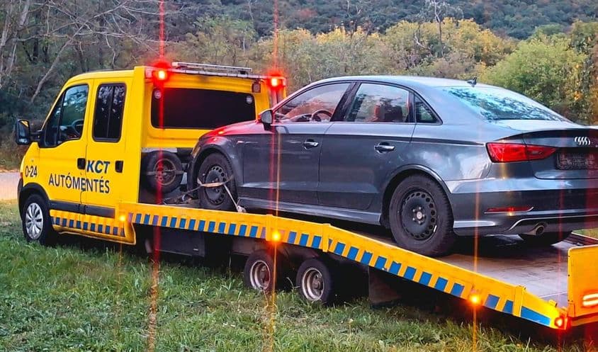 Audi mentése erdei útszélen.